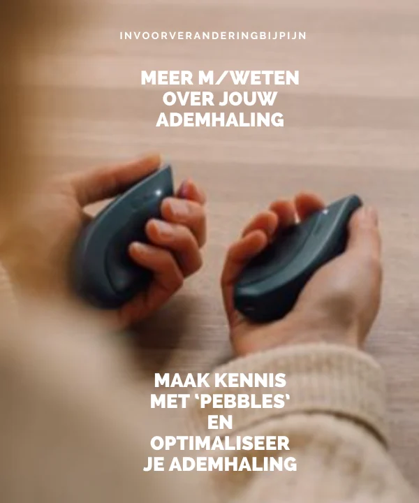 invoorveranderingbijpijnpebbles